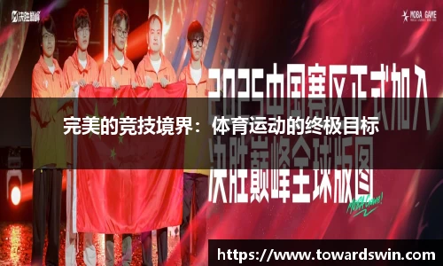 完美的竞技境界：体育运动的终极目标
