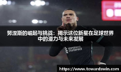 努涅斯的崛起与挑战：揭示这位新星在足球世界中的潜力与未来发展
