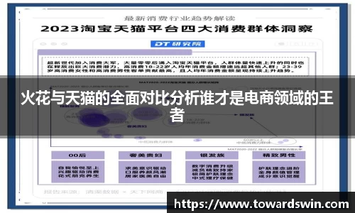 火花与天猫的全面对比分析谁才是电商领域的王者